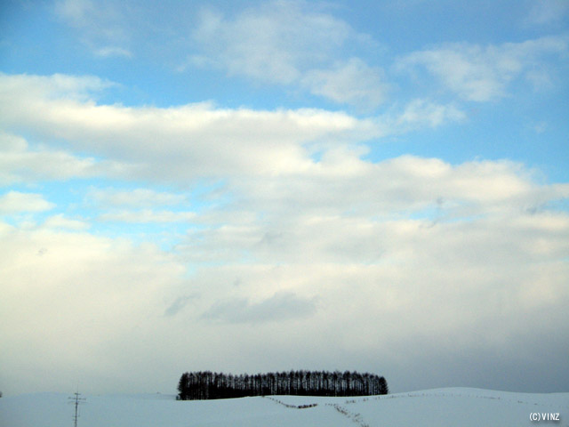 雪景色　北海道　美瑛　マイルドセブンの丘から